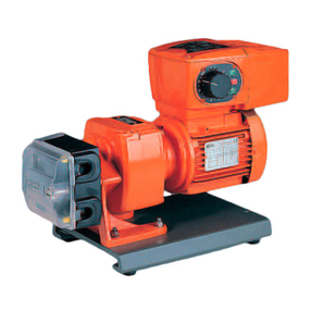 Watson Marlow Pumps 501CC user manual