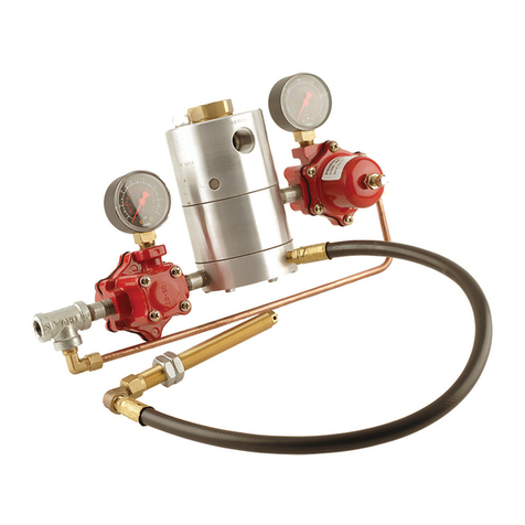 Emerson Fisher N201 Series User manual