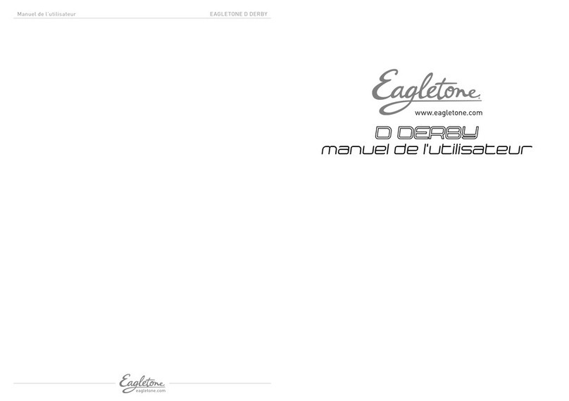Eagletone D DERBY user manual