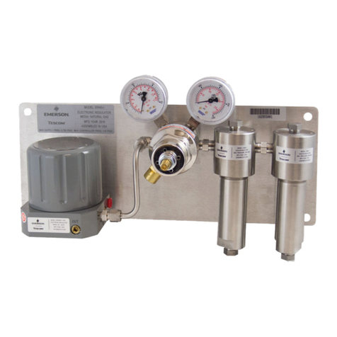 Emerson TESCOM ERNG-X User manual