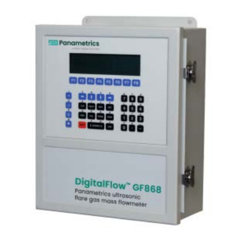 Panametrics GF868 Owner's manual