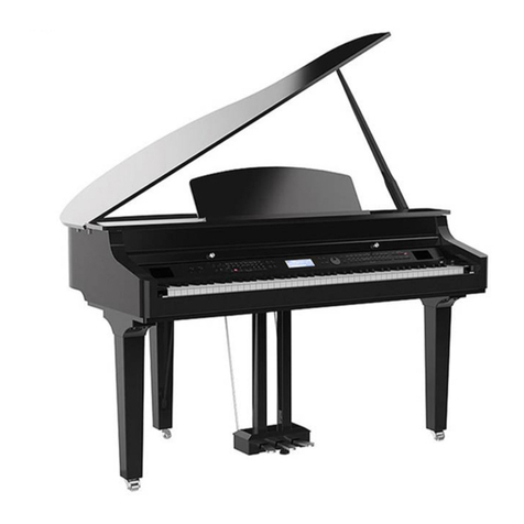 FAME Grand 3100 User manual