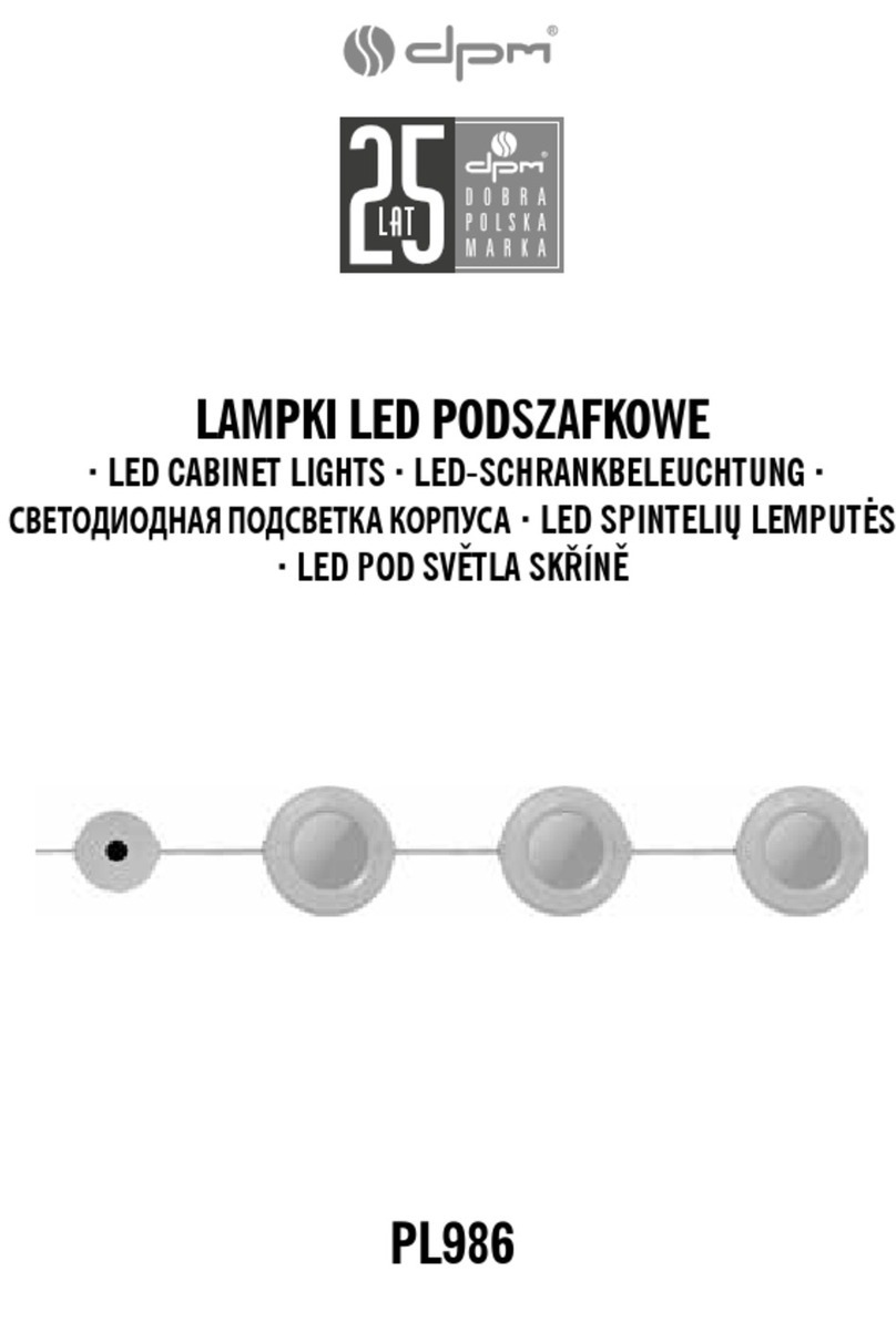 DPM PL986 manual