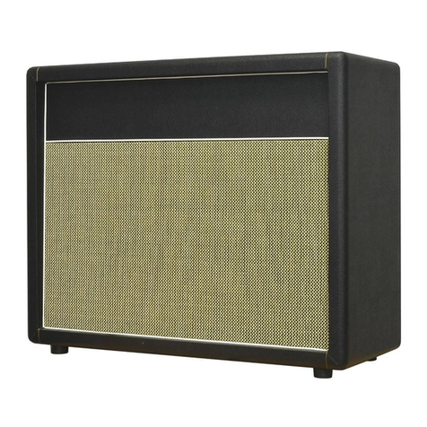 Mojotone CANYON Series User manual