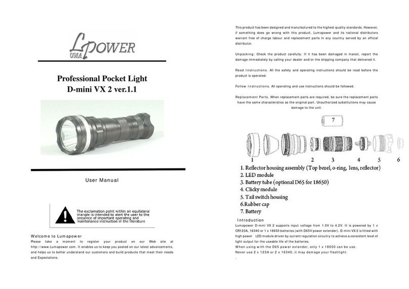 Lpower D-mini VX 2 User manual