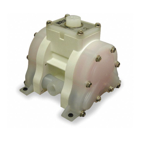 Warren rupp WR10 3/8" User manual