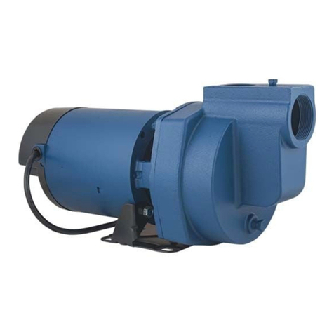 Flint & Walling SP10P1 User manual