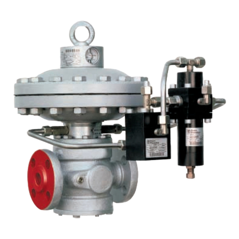 PIETRO FIORENTINI REFLUX 819 User manual