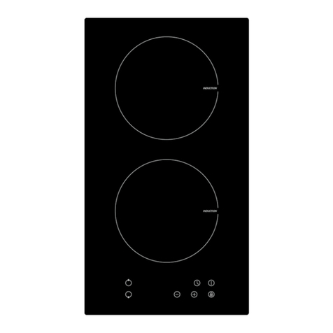 Pkm IF 2 User manual