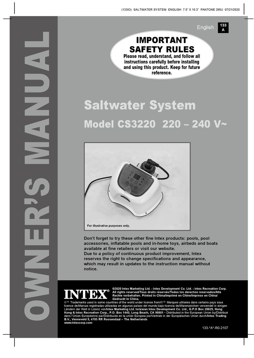Intex CS3220 User manual