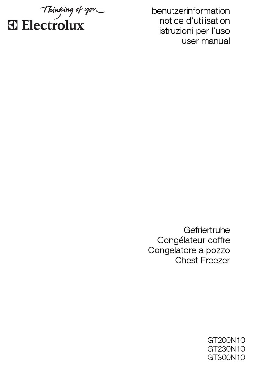 Electrolux GT200N10 User manual