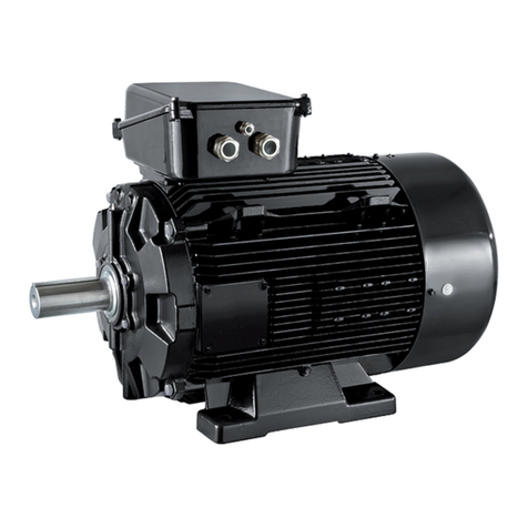 Leroy-Somer DYNEO User manual