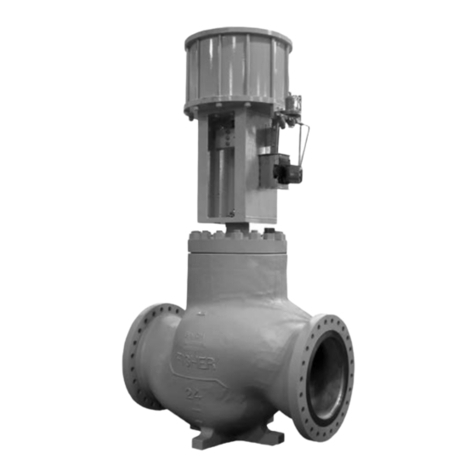 Emerson Fisher EU User manual