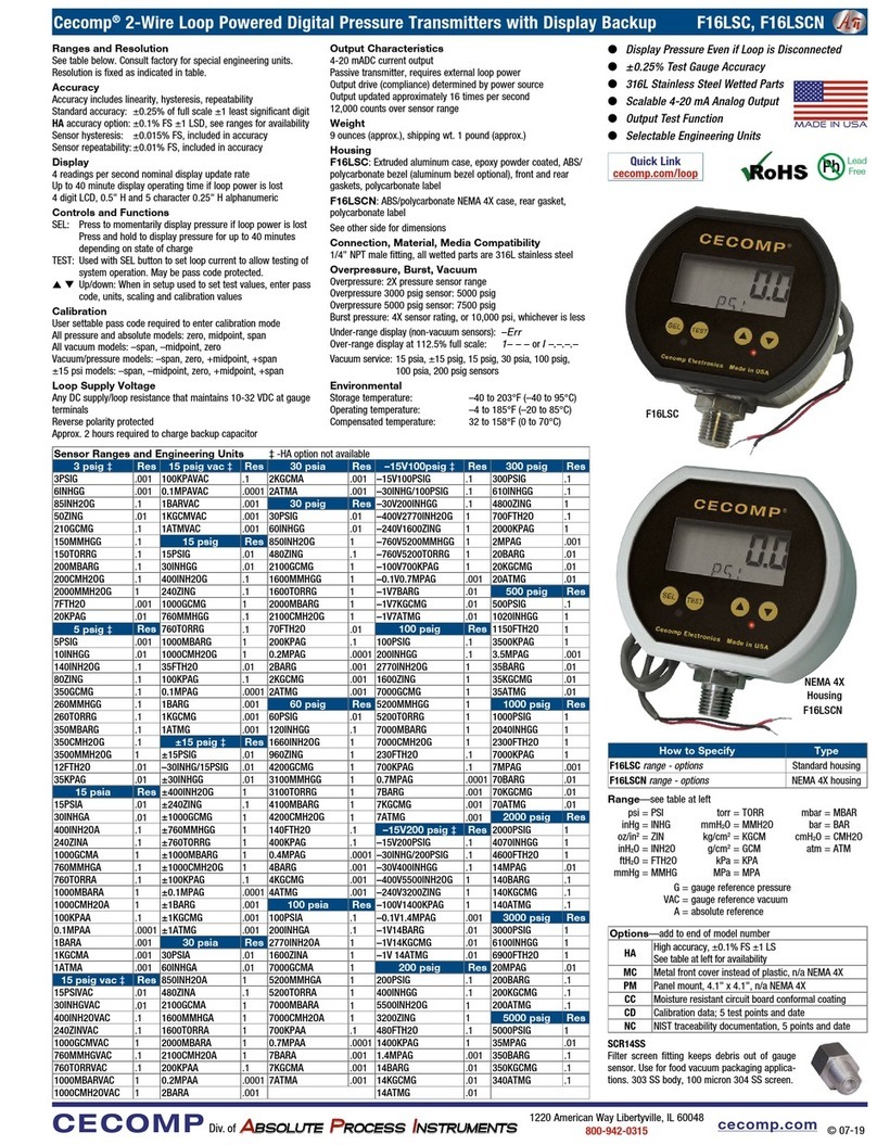 Absolute Process Instruments Cecomp F16LSC User manual