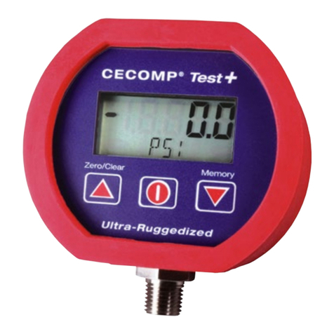 Absolute Process Instruments Cecomp Test+ CTP3B User manual