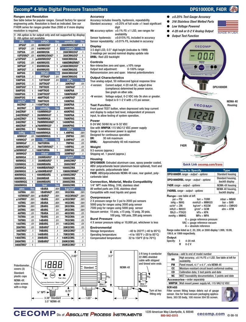 Absolute Process Instruments Cecomp DPG1000DR Series User manual