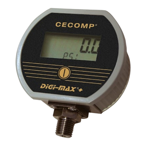 Absolute Process Instruments Cecomp DPG2000B Series User manual