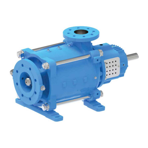 Xylem e-MP User manual