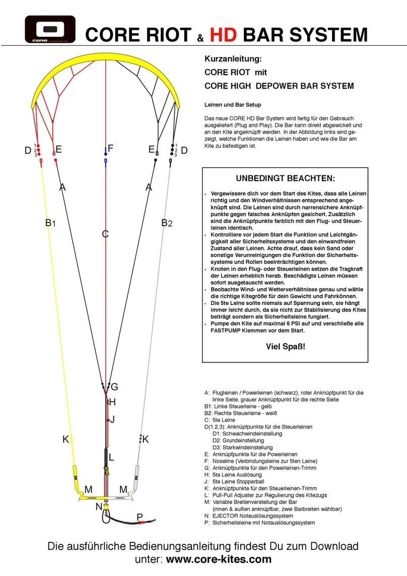 Core Riot How to use