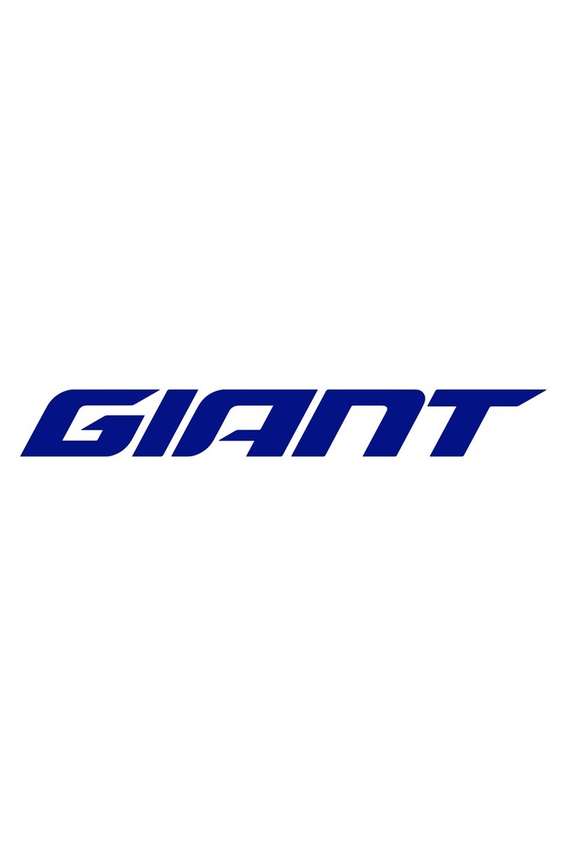 Giant Hookless WheelSystems user manual