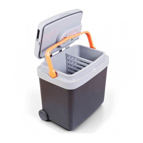 G21 C&W 33 l User manual