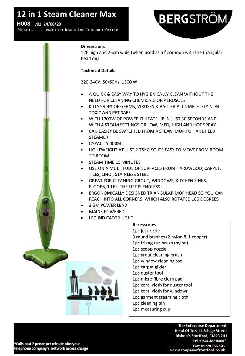 Bergstrom Max H008 User manual