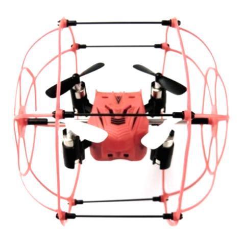 Rayline r802-1 User manual