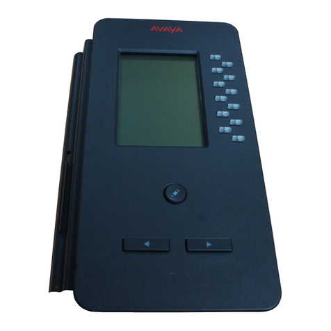 Avaya BM12 user guide