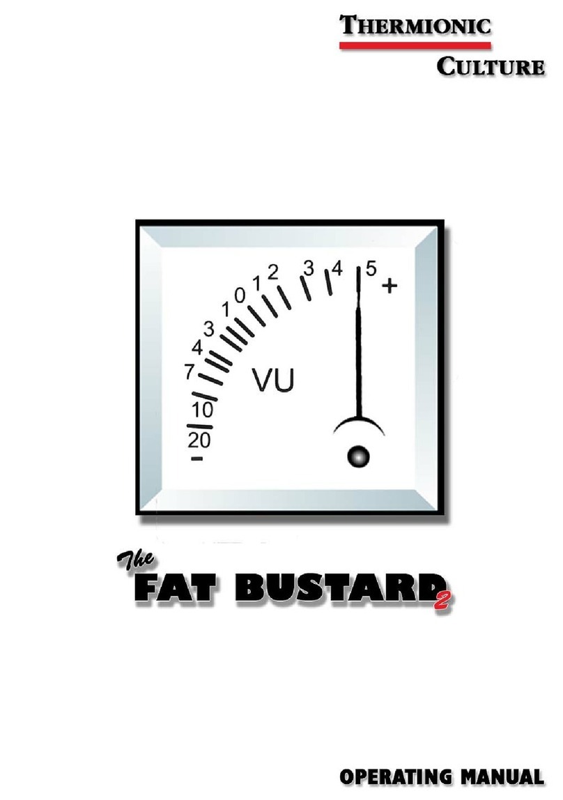 Thermionic Culture The Fat Bustard 2 operating manual