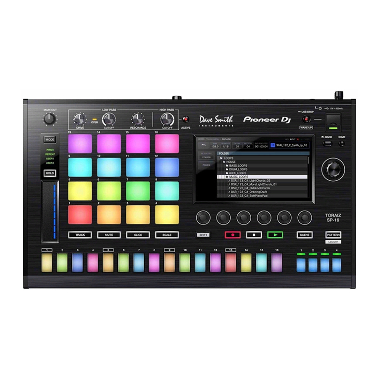 PIONEER DJ TSP-16 User manual