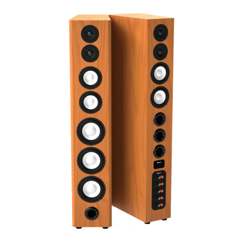 Axiom LFR1100 manual