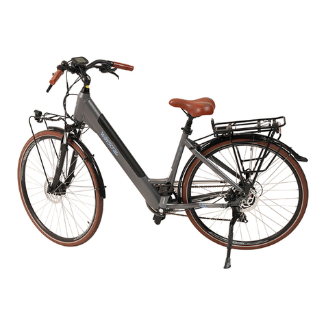 wayscral EVERYWAY E-250 User manual