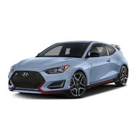 Hyundai Veloster N 2021 User manual