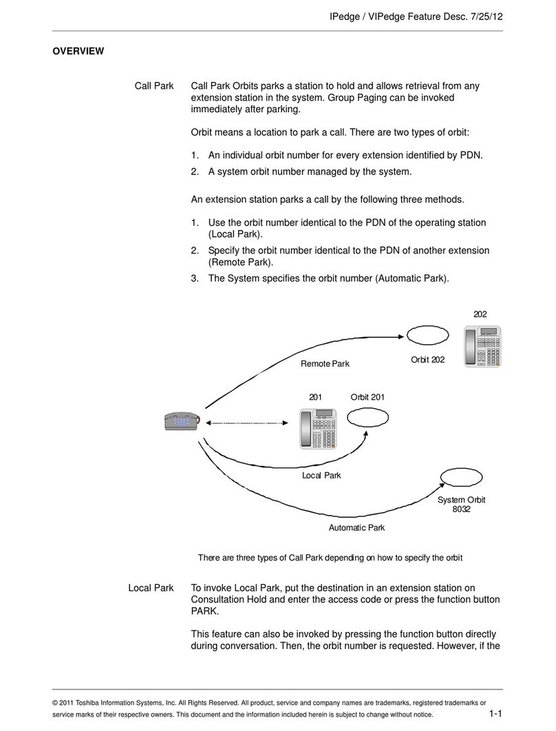 Toshiba IPedge manual