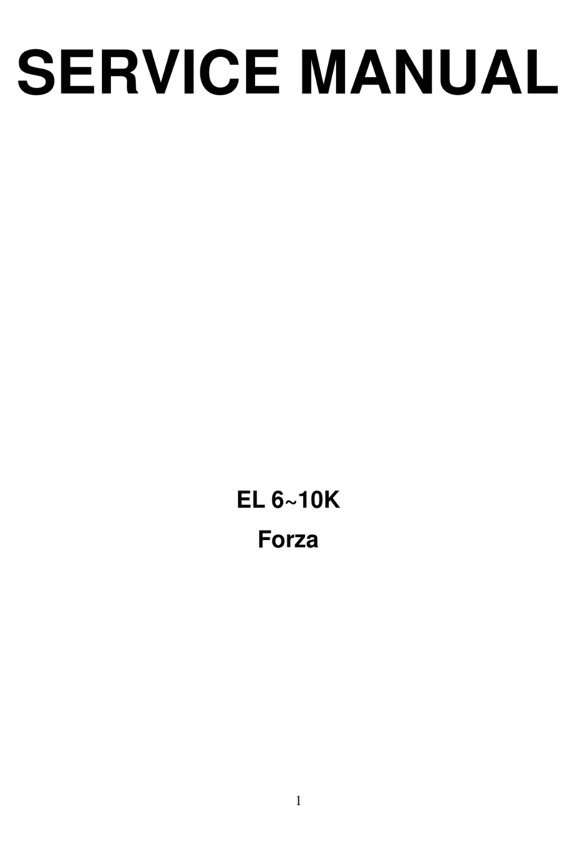 Forza Elipse Series User manual