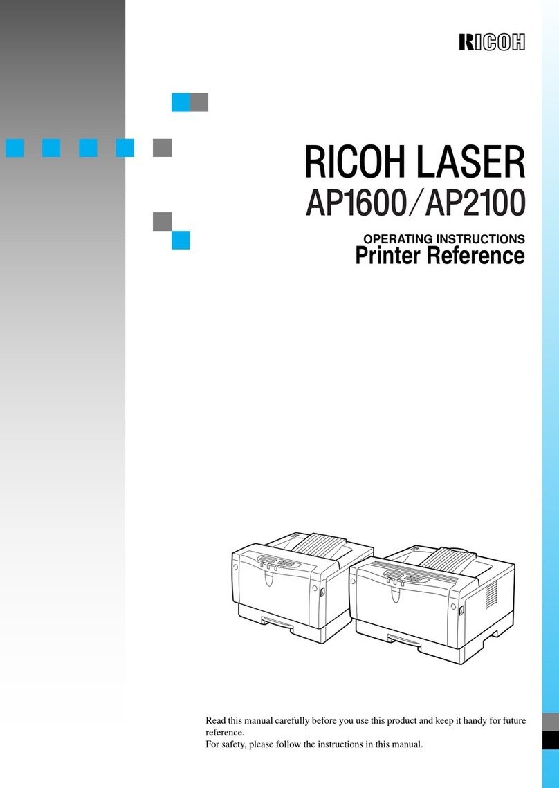 Ricon LASER AP1600 User manual