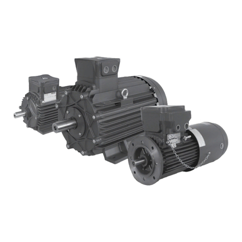 cemp DB 30 Installation, use and maintenance instructions