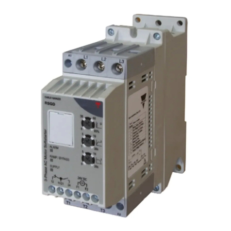 CARLO GAVAZZI RSGD manual