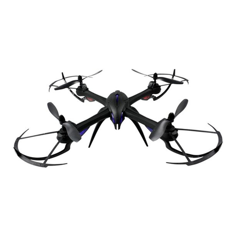 Rayline Spider R10 instruction manual