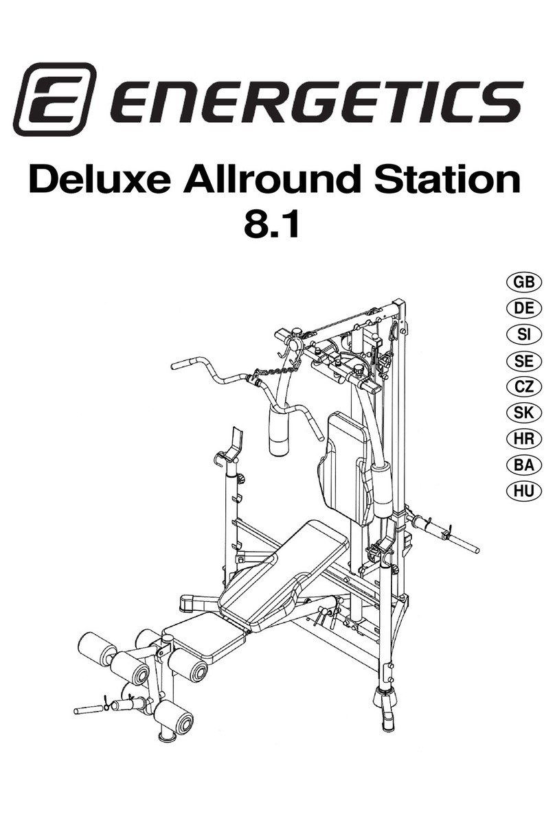 Energetics Deluxe Allround Station 8.1 owner's manual