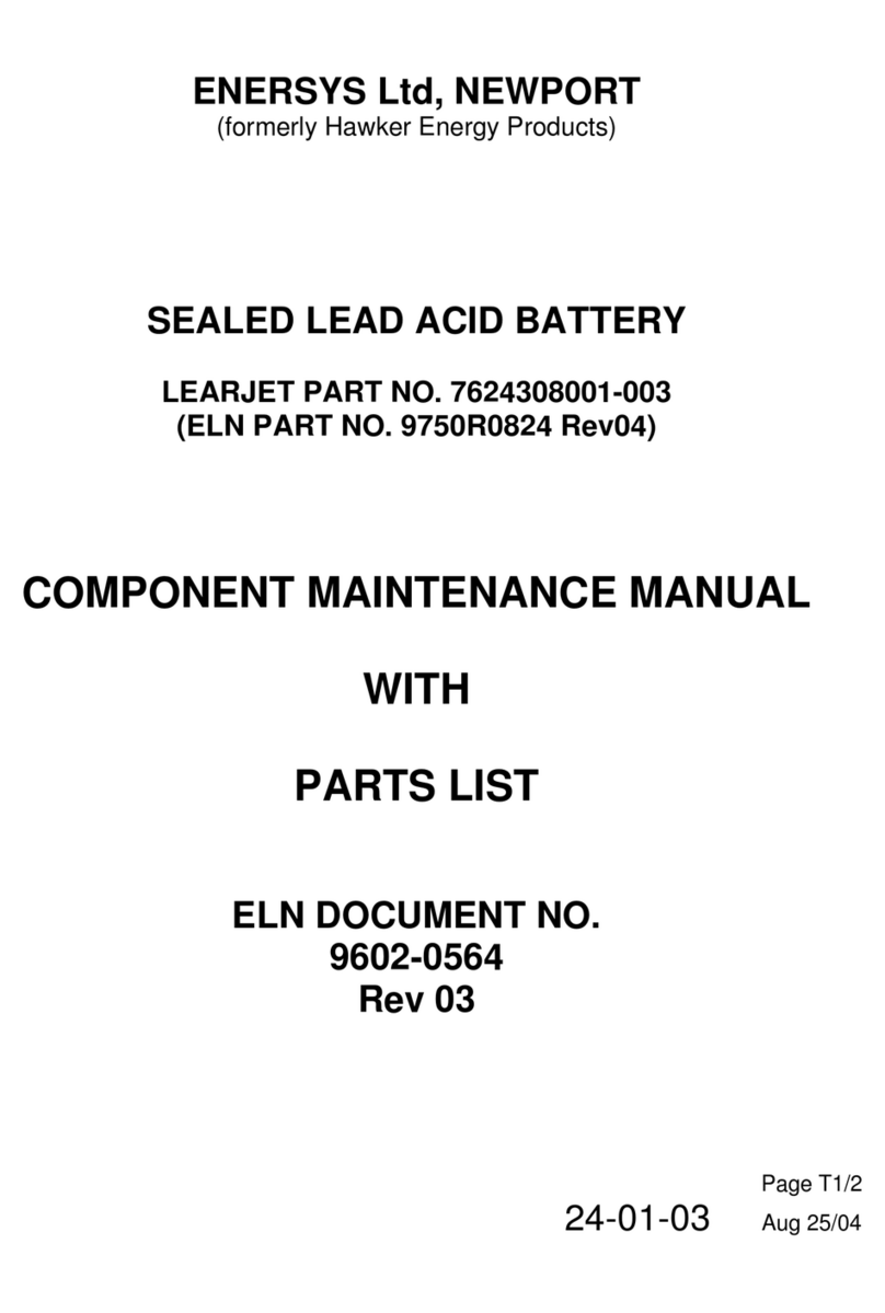 EnerSys 7624308001-003 Maintenance manual