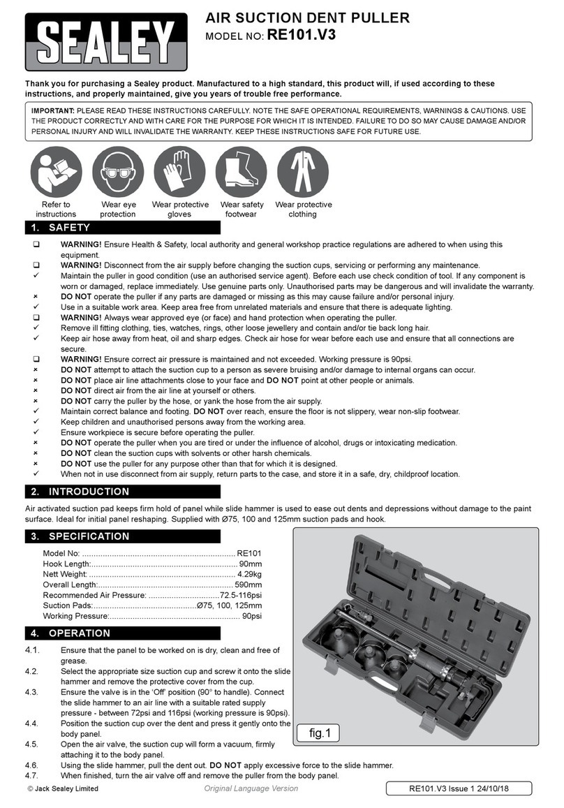 Sealey RE101.V3 manual