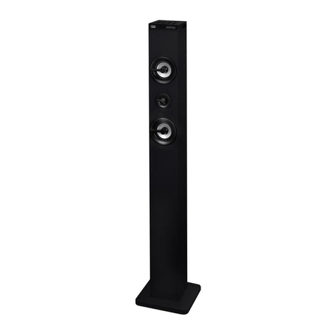 Trevi XT 101 BT user guide