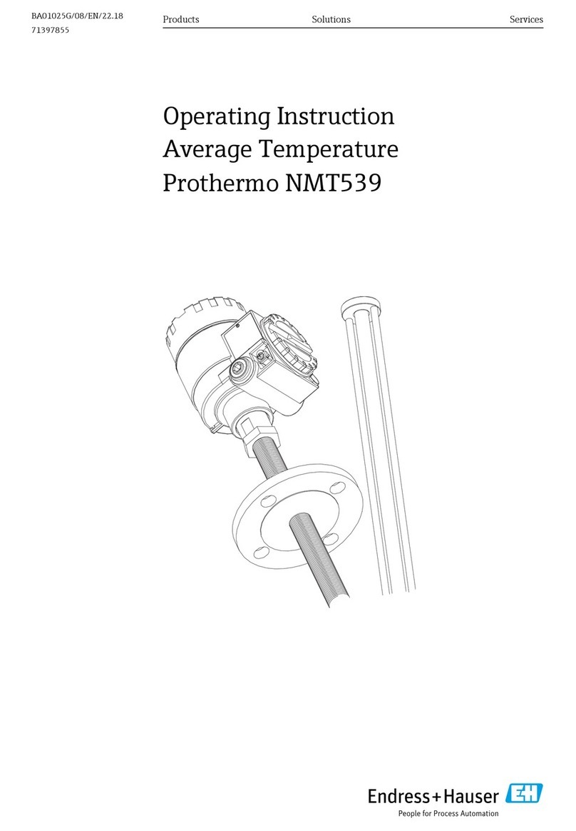 Endress+Hauser Prothermo NMT 539 User manual