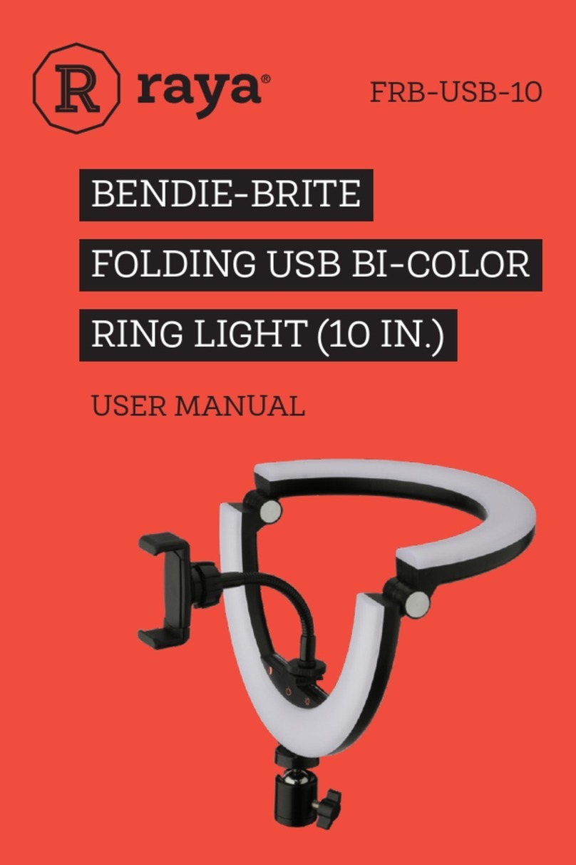 raya FRB-USB-10 user manual