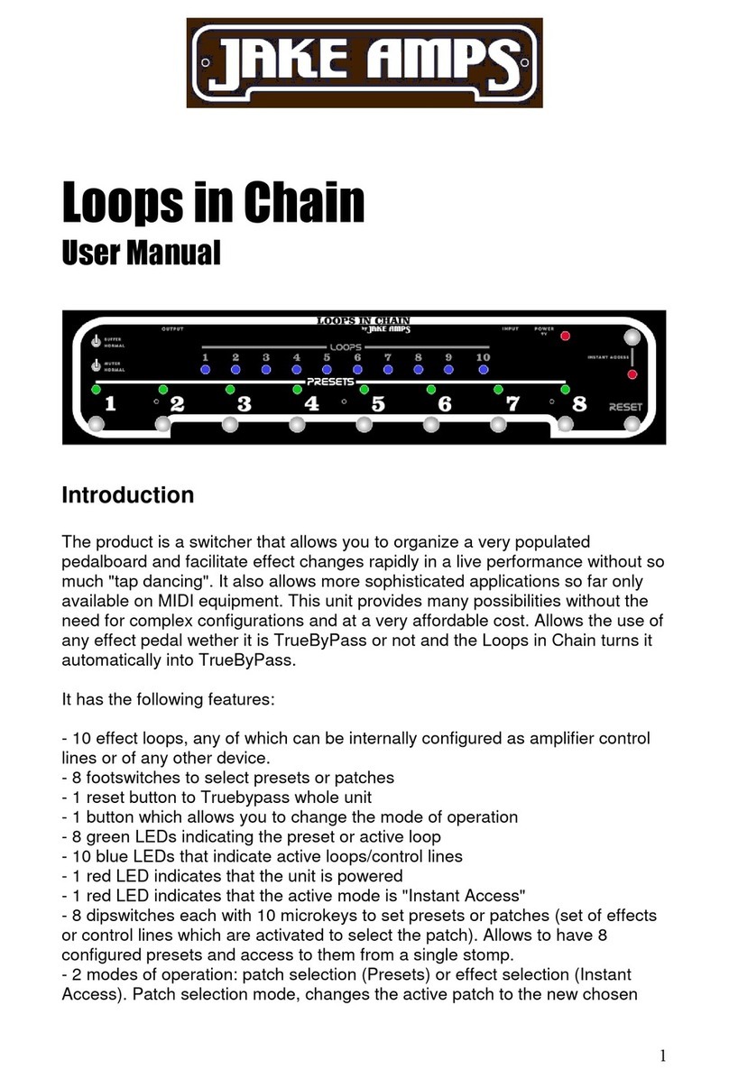 Jake Amps Loops in Chain user manual