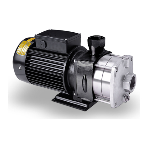 RUTHMAN RAE Pumps GTPH Series Installation, operation and maintenance manual