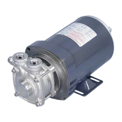 MTH PUMPS P31 Series manual