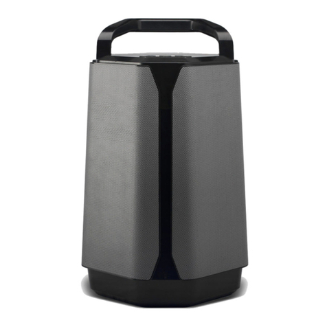 Soundcast VGX Series quick start guide