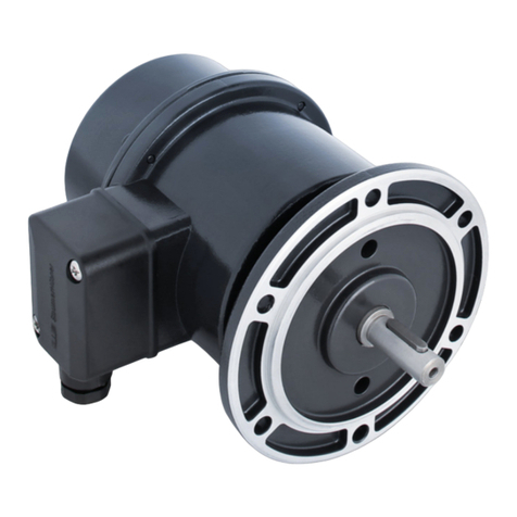 Baumer Hubner TDP 0,2+FSL Series Mounting and operating instructions Baumer Hubner TDP 0,2+FSL Series Mounting and operating instructions